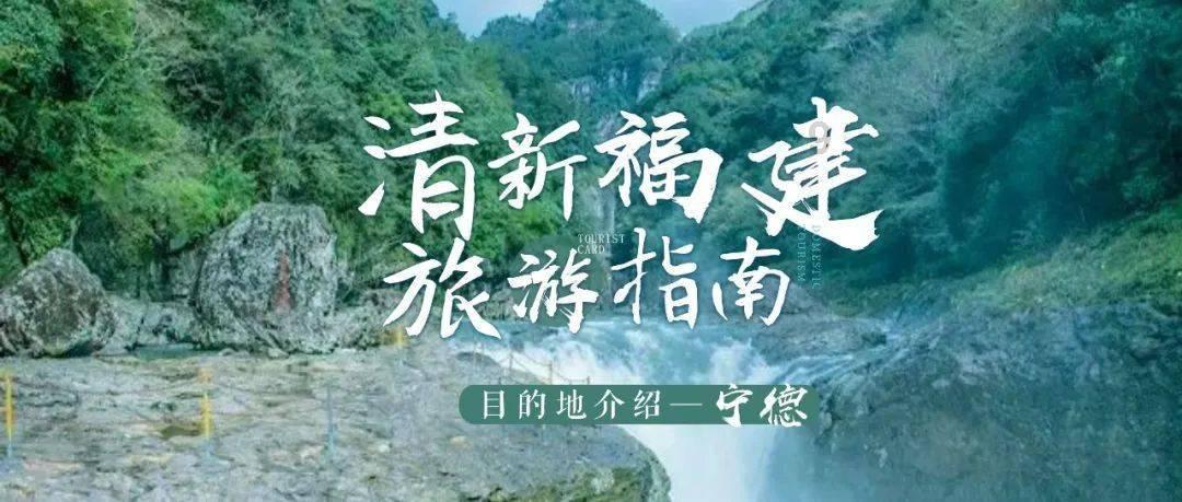 2023年12月新能源乘用车区域市场分析